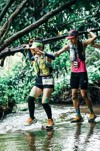 BIB: 
                            <button type="button" onclick="openModal(25420282)" class="btn btn-primary btn-sm float-right btn-popup" data-toggle="modal" data-target=".modal-high-quality">
                        <i class="fas fa-shopping-cart"></i> Add to Cart
                    </button>
                                            <button type="button" onclick="isThisMe(25420282, true)" class="btn btn-success btn-sm float-right btn-popup btn-isme hidden" data-toggle="tooltip" data-placement="bottom" title="นี่คือรูปของคุณใช่ไหม คลิกที่นี่เพื่อเอาเข้าอัลบั้ม">
                        <i class="fas fa-plus"></i> Add to album
                    </button>
                    <button type="button" onclick="isThisMe(25420282, false)" class="btn btn-warning btn-sm float-right btn-popup btn-isnotme hidden">
                        <i class="fas fa-ban"></i> Remove from album
                    </button>